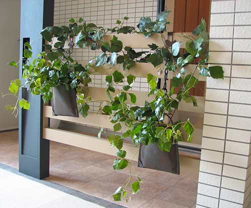 KOETALO design office